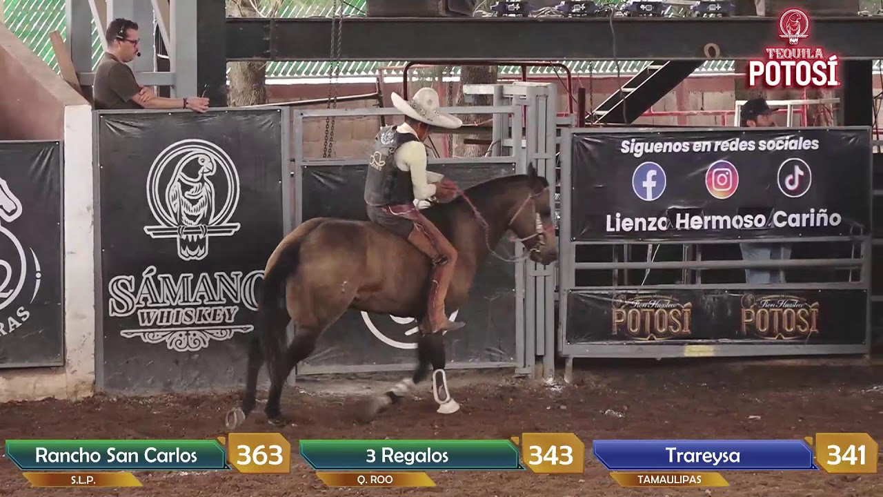 Liga Profesional Ron Potosí 2025 Tercera Fase
