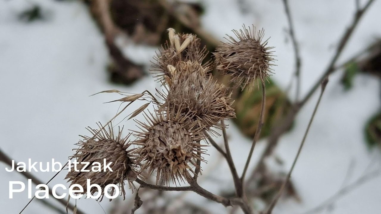 Jakub Itzak - Placebo