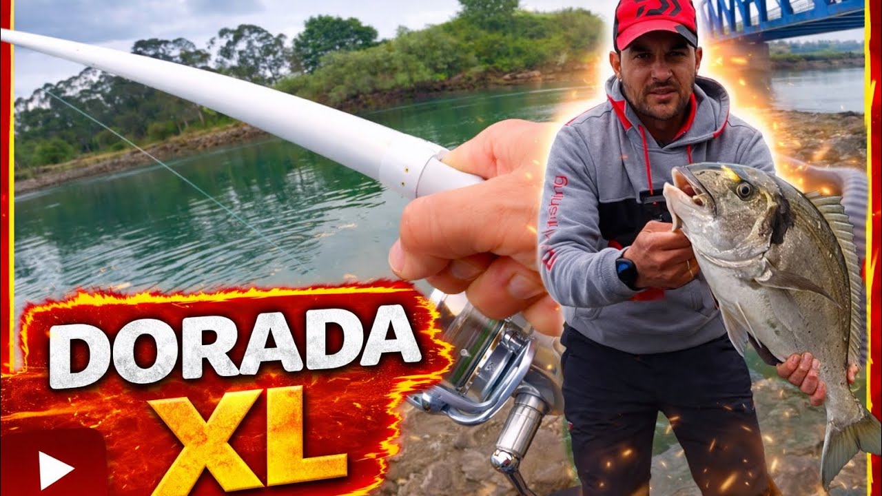 SURFCASTING pesca de DORADA XL en el NORTE  1ª jornada