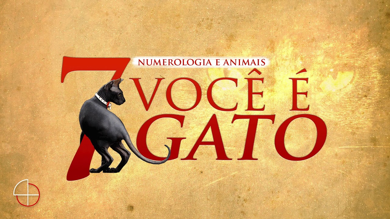 OS GATOS E O N&Uacute;MERO 7   (NUMEROLOGIA ANIMAL)