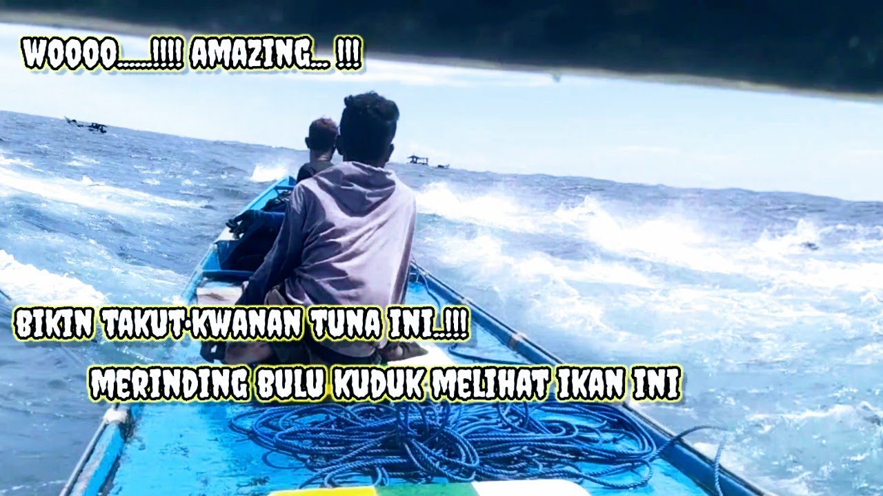 DETIK-DETIK MENEGANGKAN SAAT DI HADANG KAWANAN IKAN TUNA
