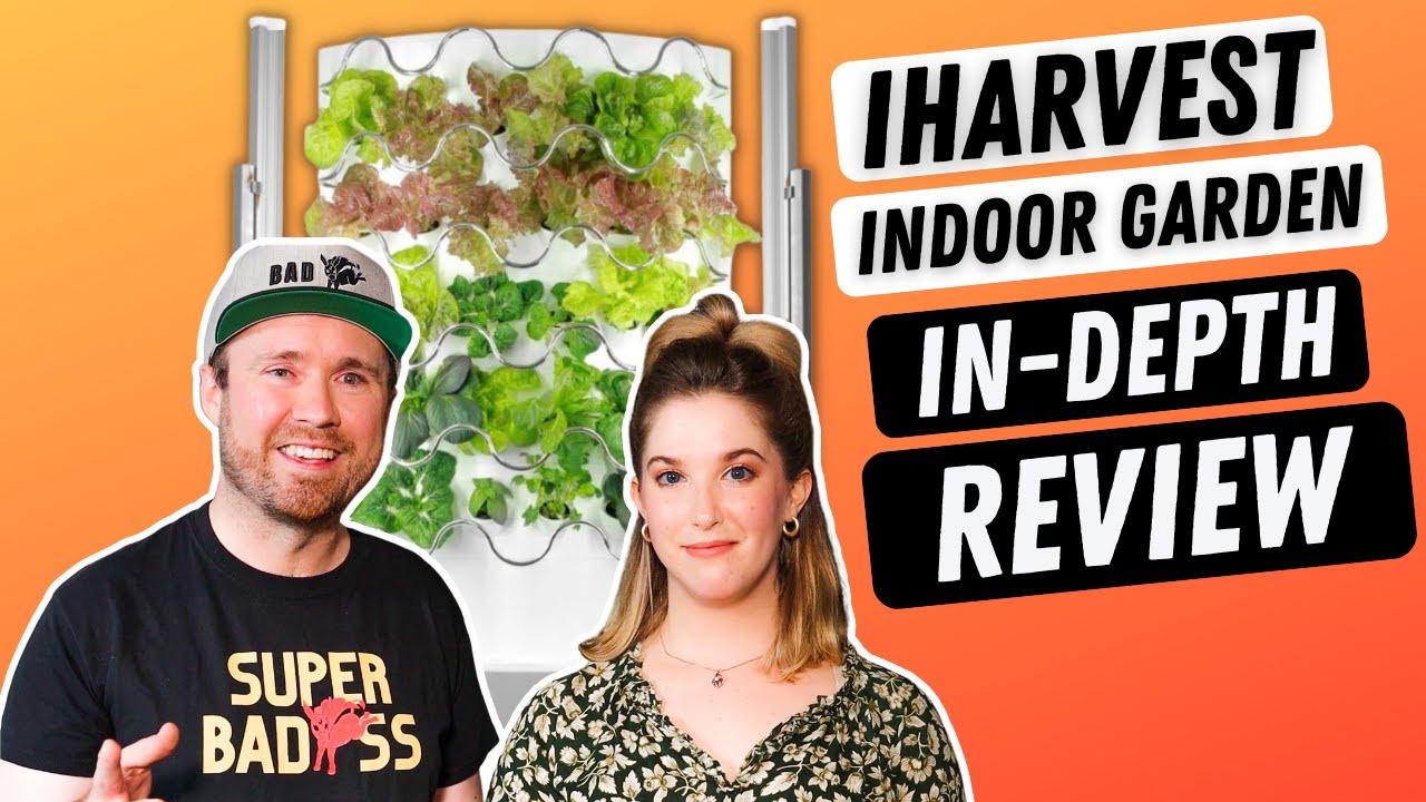 ПОДРОБНЫЙ ОБЗОР iHARVEST: наш честный обзор, плюсы и минусы, а также принцип работы (гидропонное ...