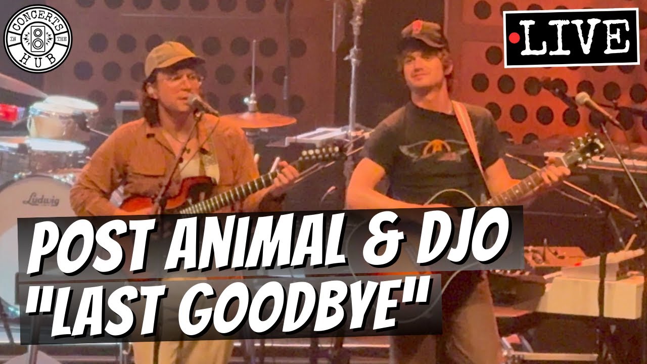 Post Animal & Djo 