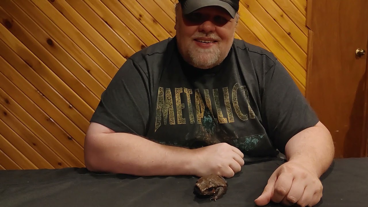 Toad-ally Awesome Amphibians!
