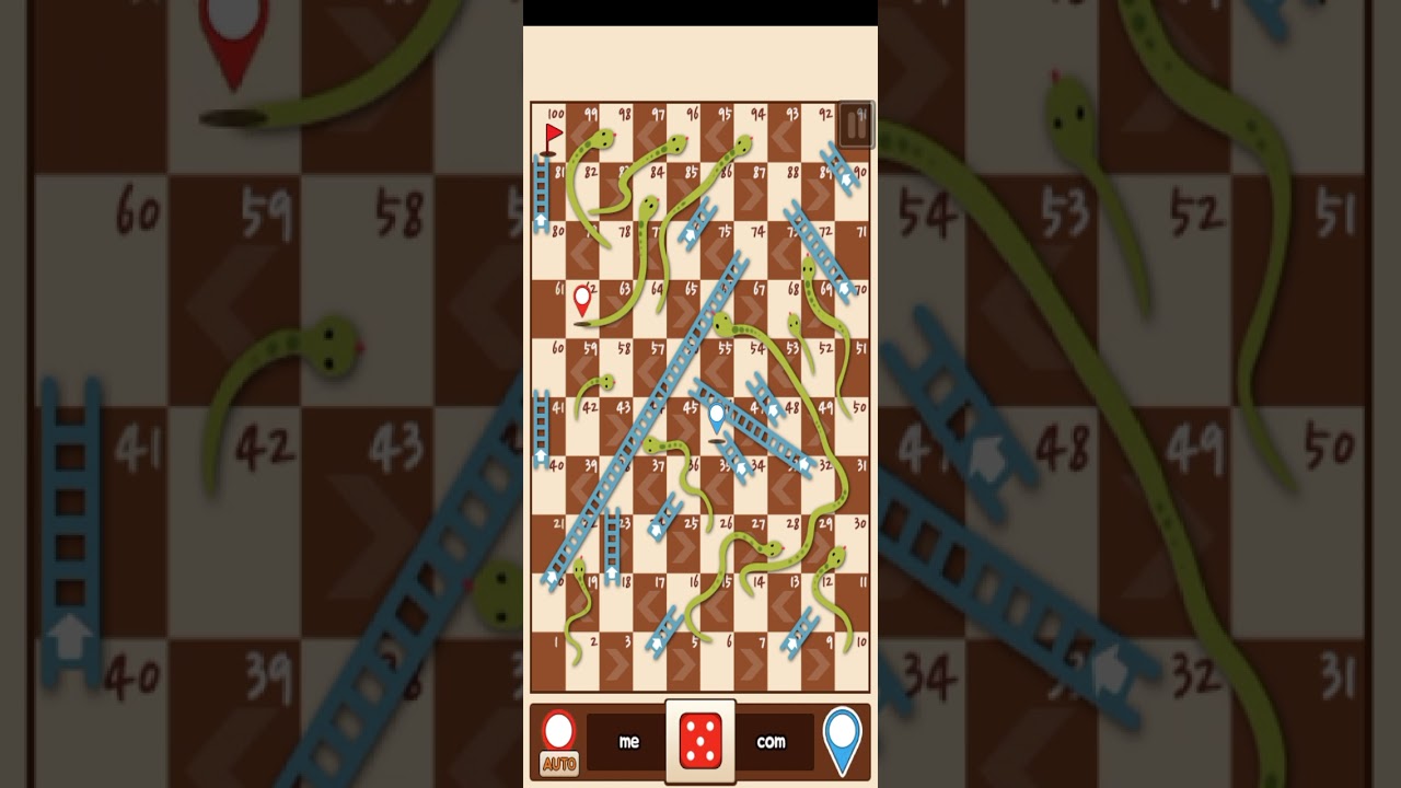 SNAKES & LADDERS KING