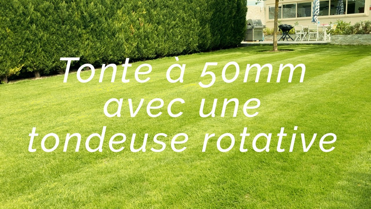 #005 - Première tonte à 50mm