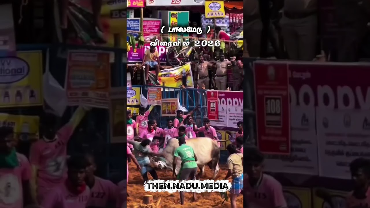 Palamedu Jallikattu Mashup 😈💥 Kudumbar Devendirar kaey mudhal mariyathai Pandiya marapu ❤️💚