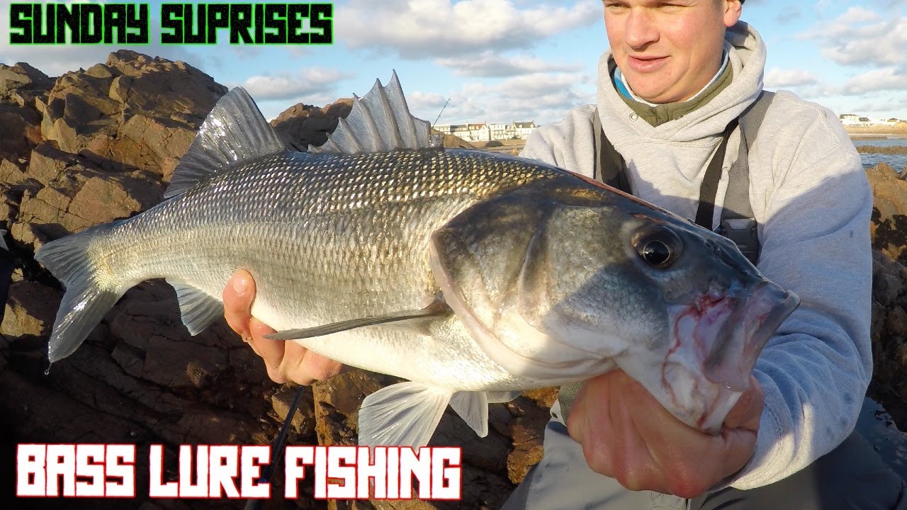 AUTUMN SURPRISES | BASS LURE FISHING | SAVAGE GEAR SAND-EEL DOES IT AGAIN