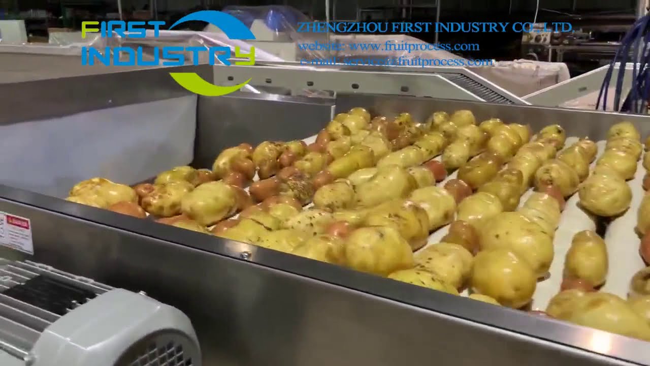 potato washing drying sorting line，potato washing machine