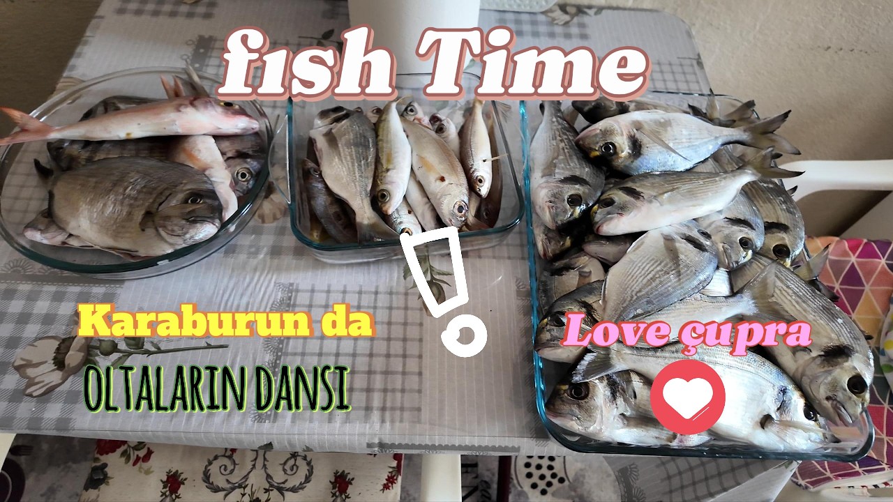 Karaburun derinliklerinde balığın sürüsüne denk geldik,#keşfet #fishing #deniz #karaburun #bot
