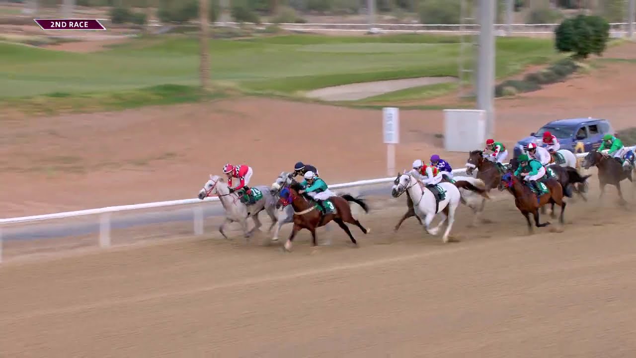 Al Ain 240126 Race 2