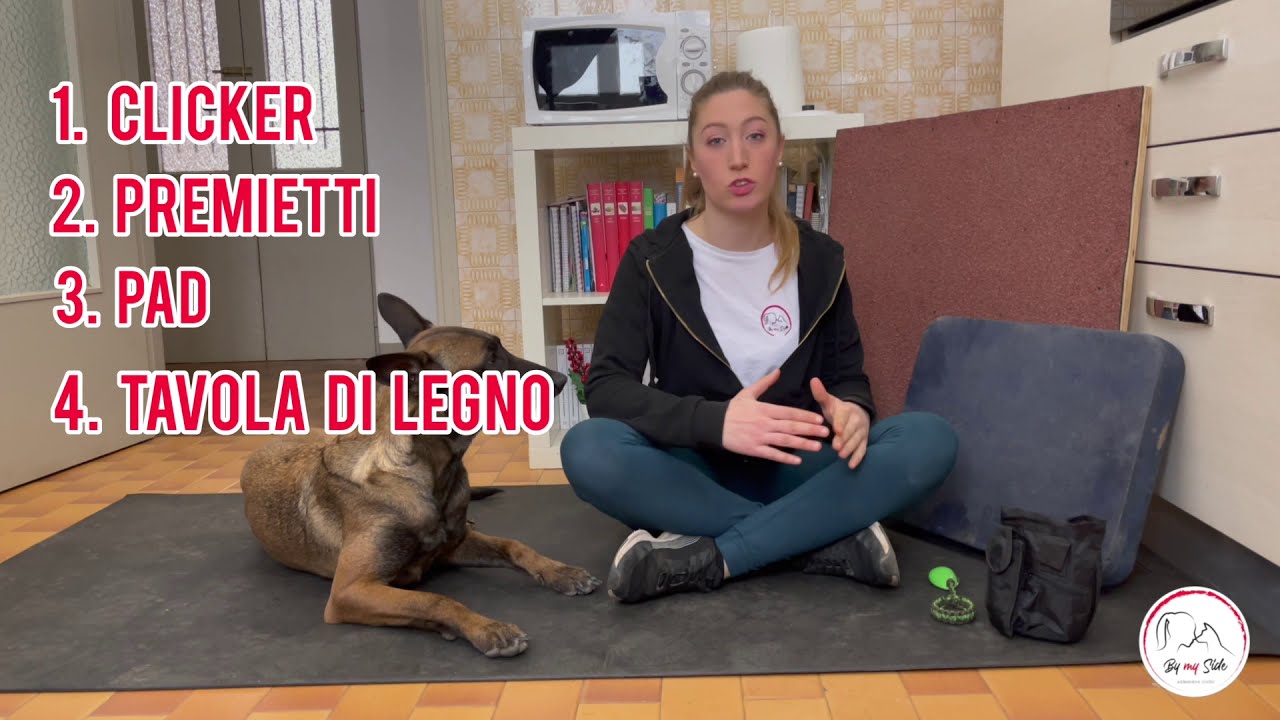 Verticale - come insegnarla al mio cane #inquarantenacolmiocane #BymySide #tricks dogtricks