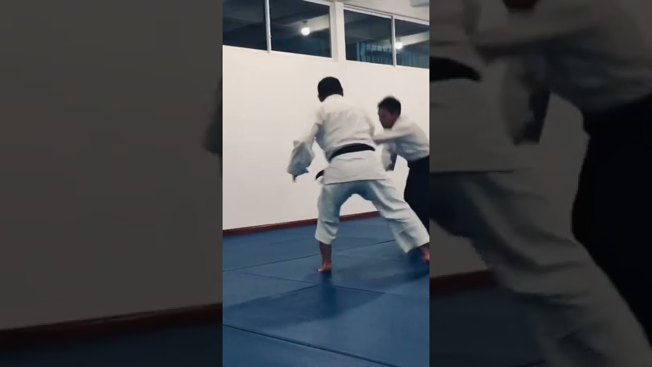 Aikido, Sansuikai Kote Gaeshi #kotegaeshi #aikido #aikikai #kampfsport #martialarts #deutschland