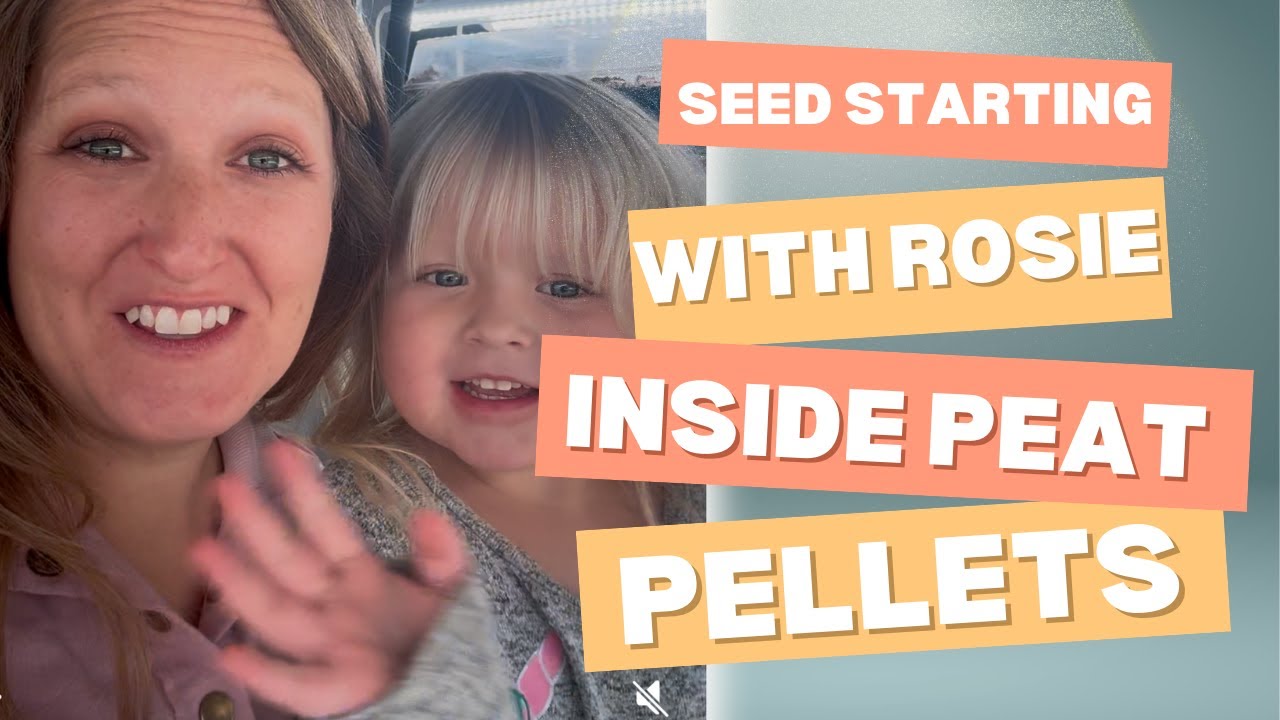 Learning How To Start Lisianthus Seeds Using Peat Pellet Pods, Watch as Rosie Plants some Seeds.