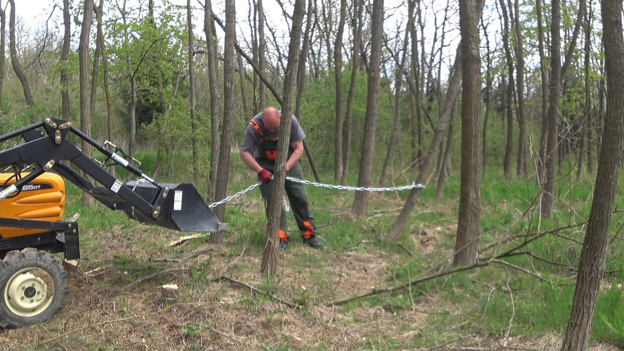 Baumfällungen/Holzrücken mit Kleintraktor #ungarn61