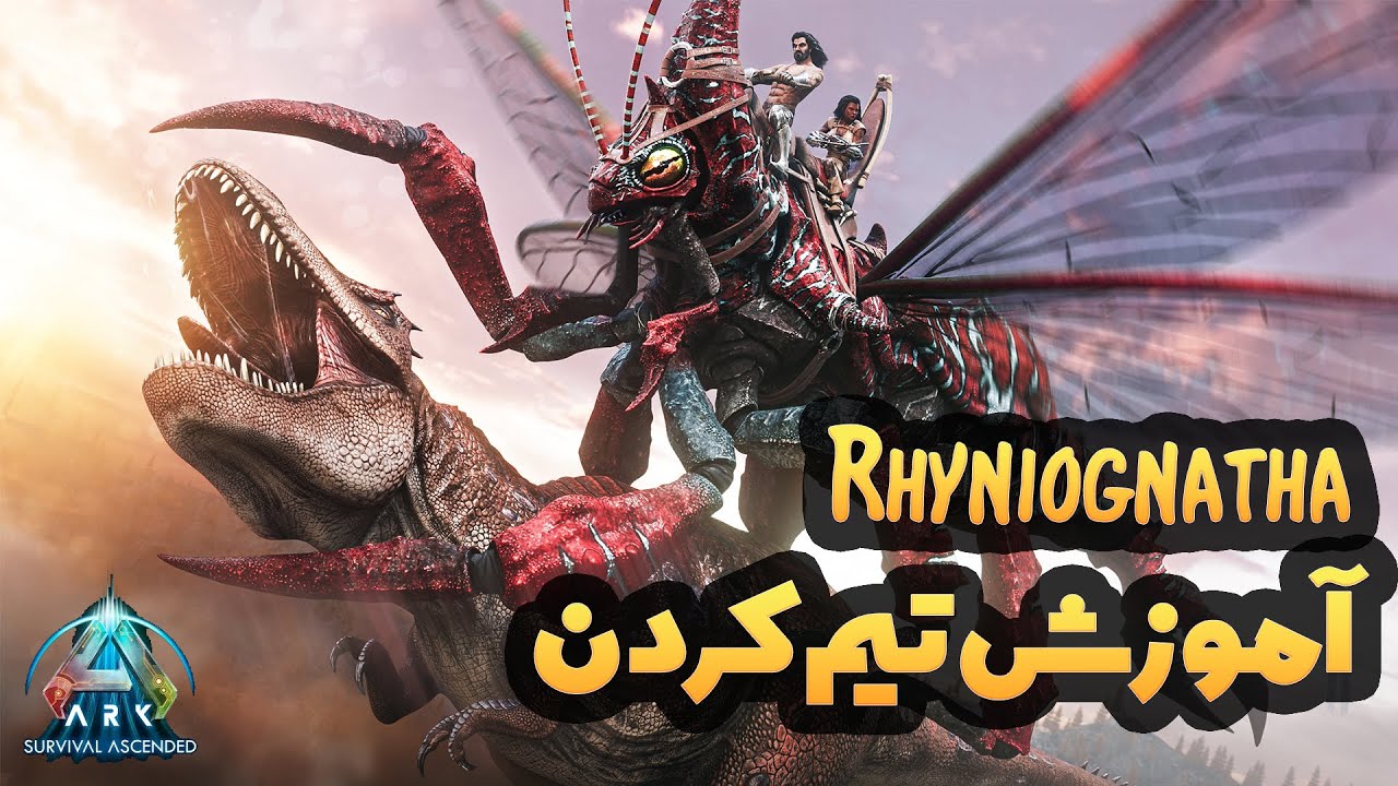 آموزش تـــــــــــــــــــیم کردن Rhyniognatha