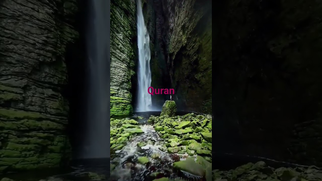 surah yaseen urdu, translation quran #islam # deen# short video #viral video