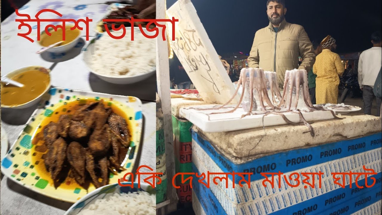 Way to Mawa Ghat for Hilsha party😋 Dhaka Mawa Expressway 🏍️