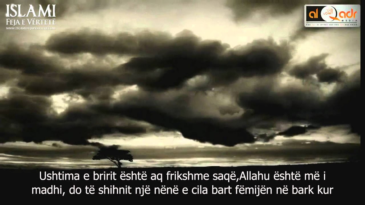 Dita e Gjykimit 