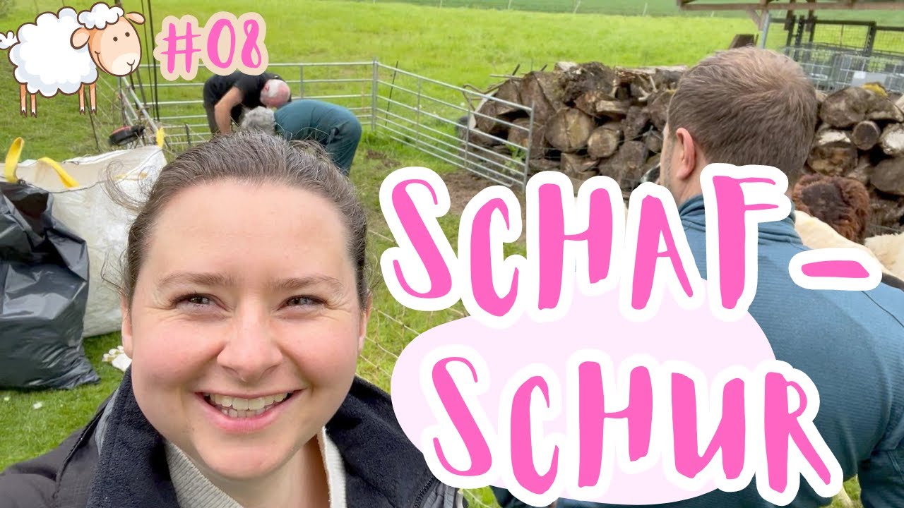 #8 Endlich schönes Wetter☀️ Marktverkauf🦋 Schafscherer aus Neuseeland zu Besuch