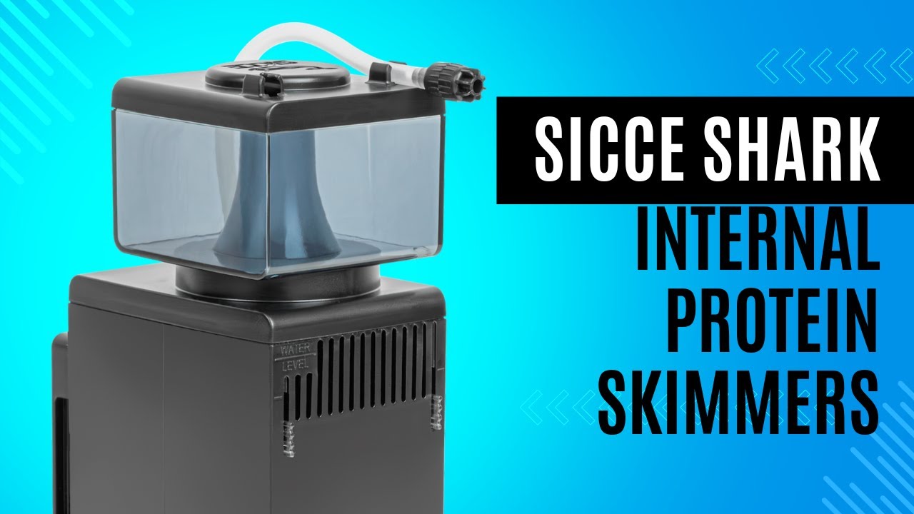 Sicce Shark Internal Protein Skimmers: Perfect for Your Reef Tank