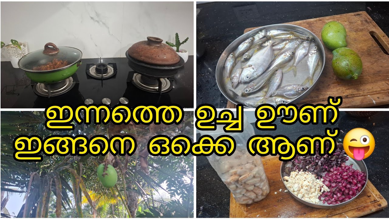 ഒരു  വര്‍ഷം  പഴക്കമുള്ള  ചക്ക  കുരു ഉപയോഗിച്ച്  ഇന്നത്തെ  ഉച്ച ഊണ്/കൃഷി 