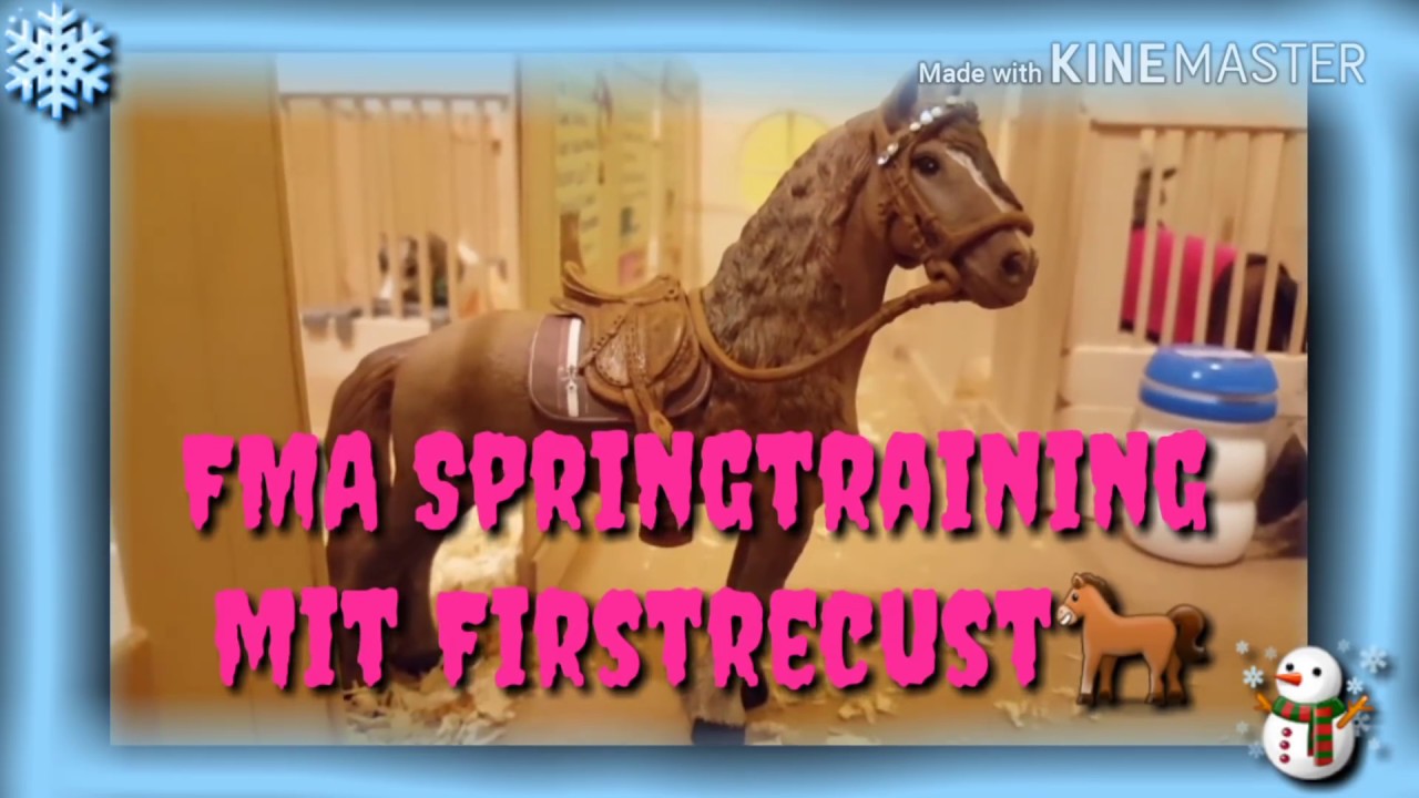 [Schleich] FMA Springstunde + Box ausmisten#64