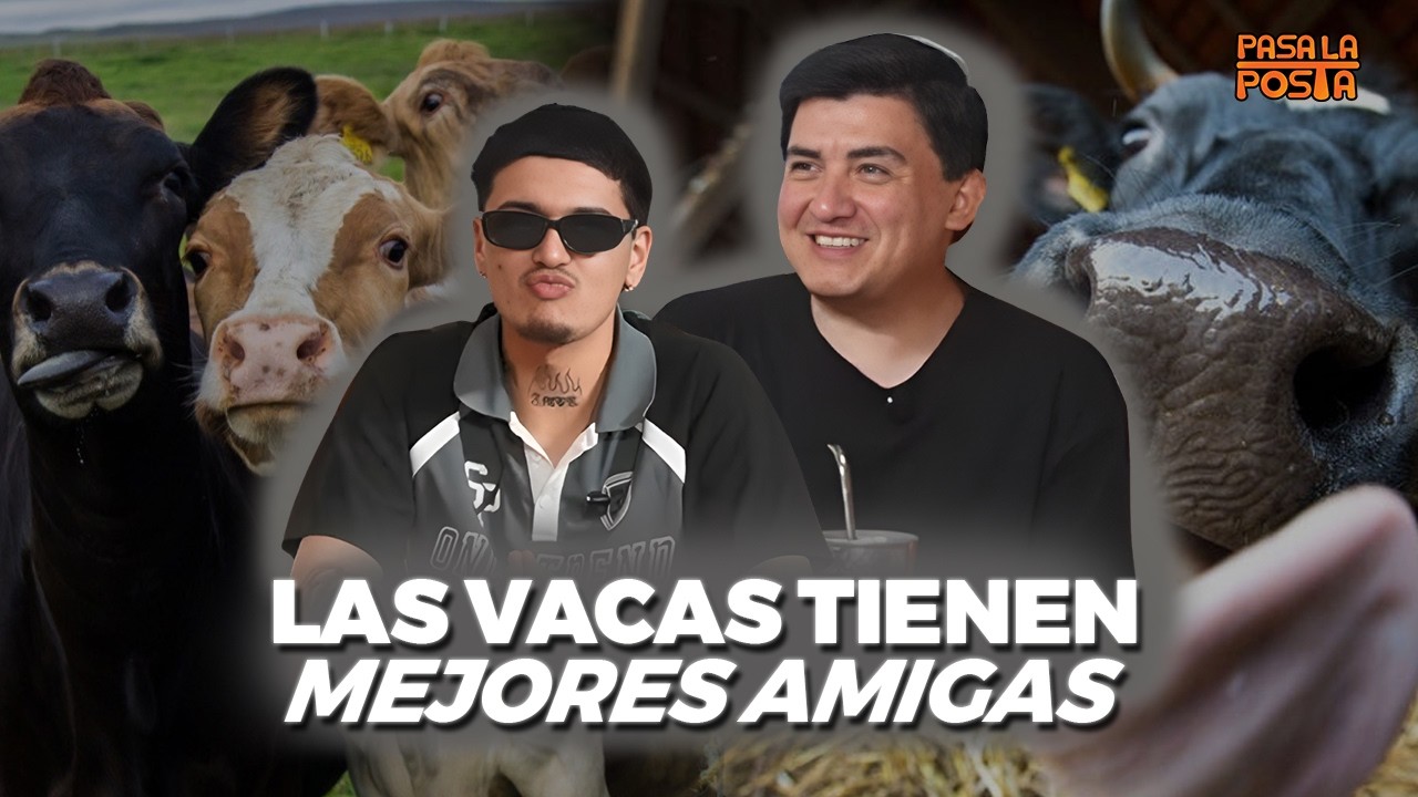 Cosas que parecen MENTIRA, pero son 100% reales 😳