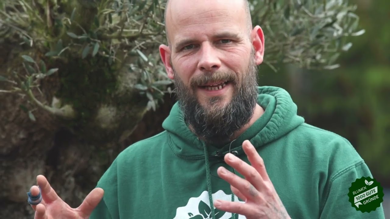 Die Nelke - Tristan rockt den Garten