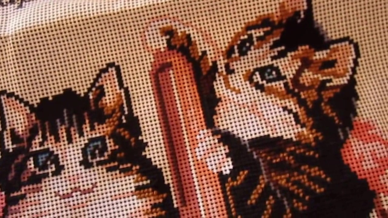 Вышивка  О жестком страмине замолвите слово