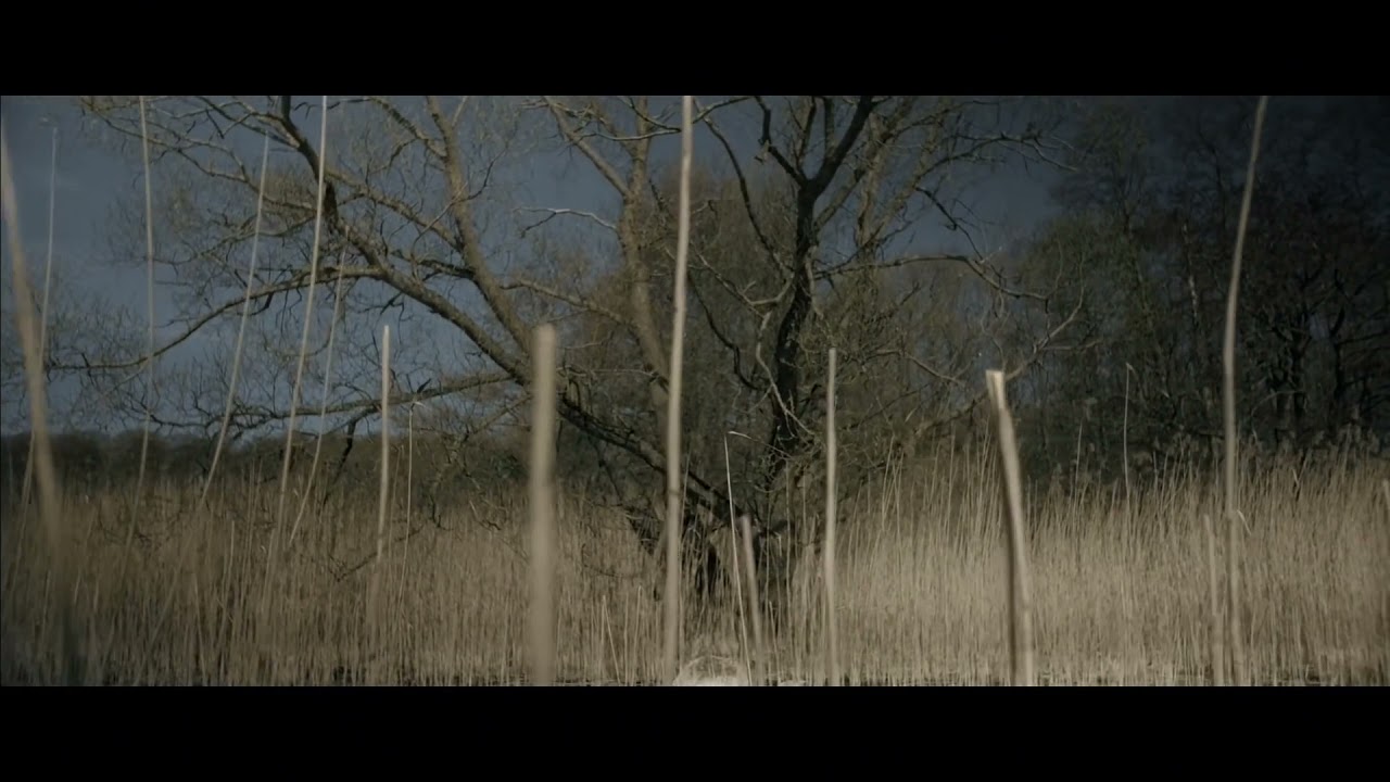 The World's Most Relaxing Film