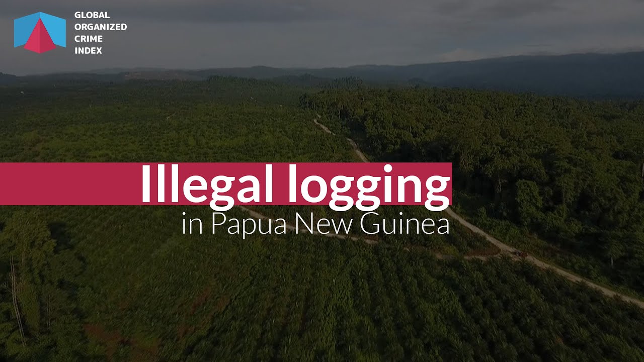 Papua New Guinea & illegal logging | The Index Podcast