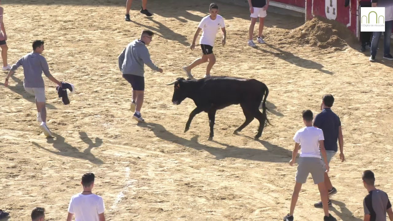 Vaquillas en la Feria Albacete, miércoles 12 septiembre