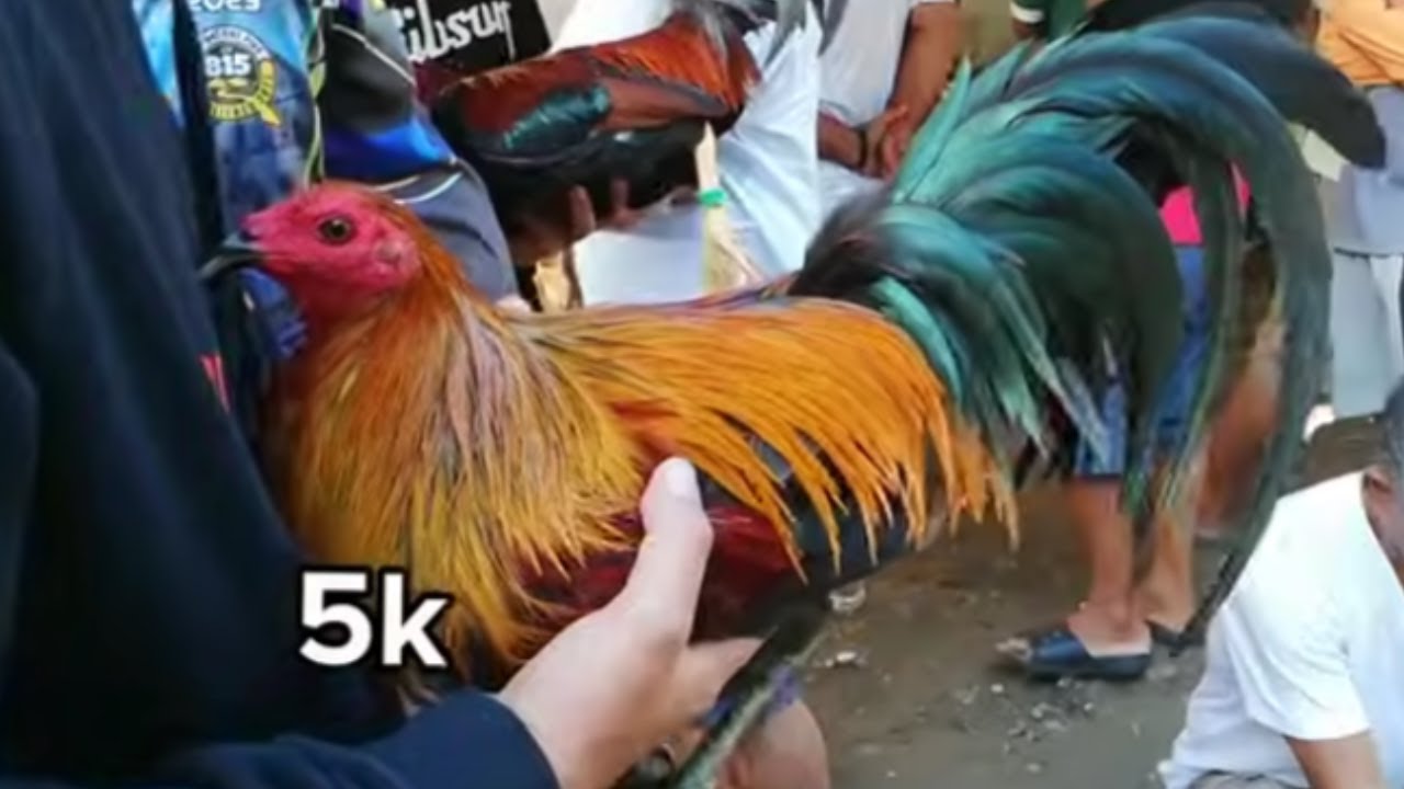 SPANGLE WHITE 3500 SA TABUNOK CEBU