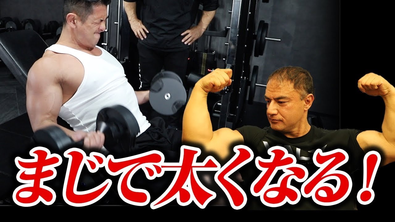 【筋トレ】この腕トレをやれば絶対に太くなる！という種目を5つに絞りました。
