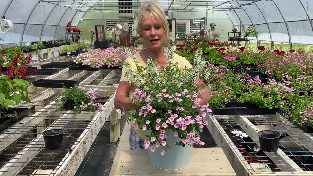 Sweet annual combination / Look how pretty this turns out!