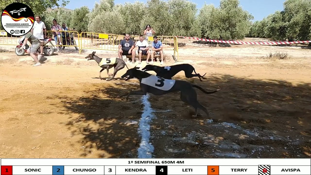PRUEBA PUNTUABLE PARA LOS GALARDONES DE LA ASOCIACIÓN ANDALUZA DE RECTA, PISTA DE JÓDAR