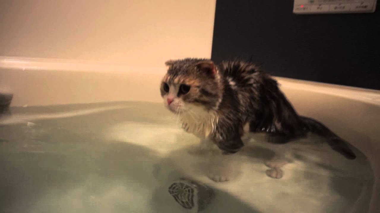 お湯がたりなーい