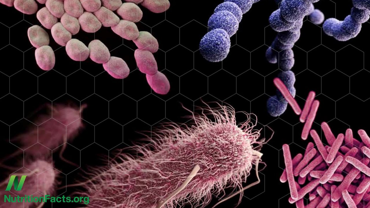 MRSA Superbugs in Meat