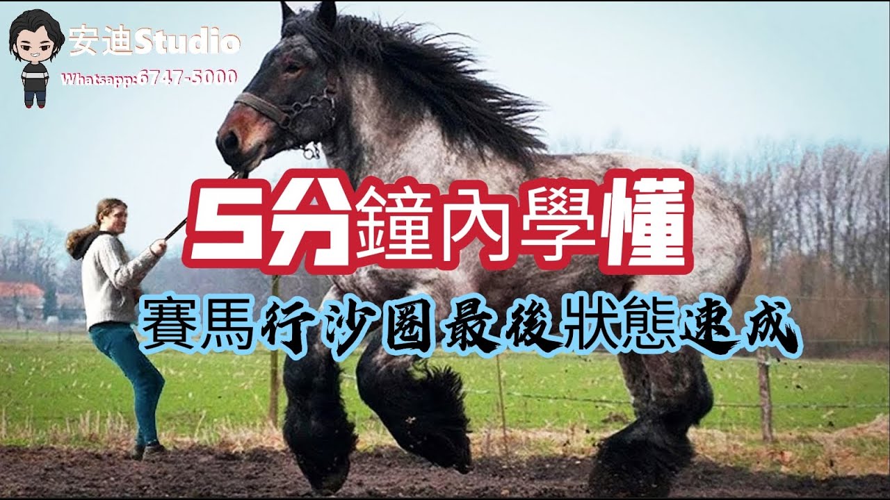 5分鐘就會學懂.馬匹行沙圈最後狀態速成教學.