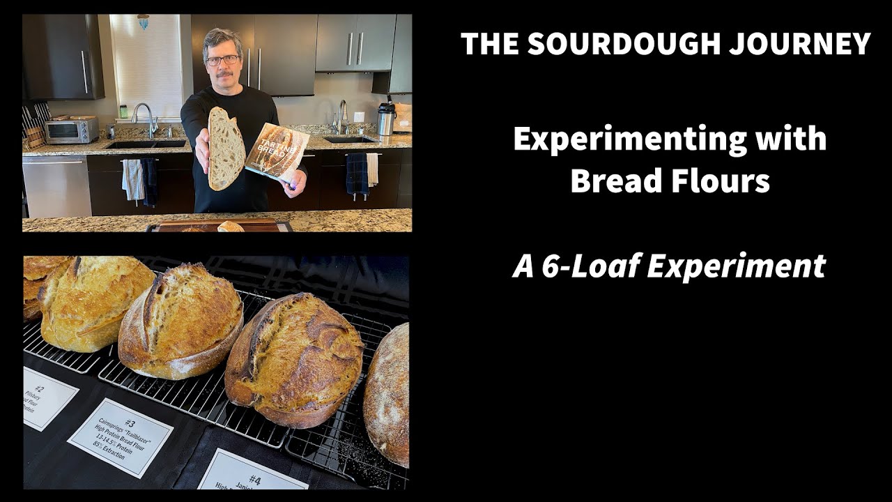 NEW! Experimenting With Bread Flours