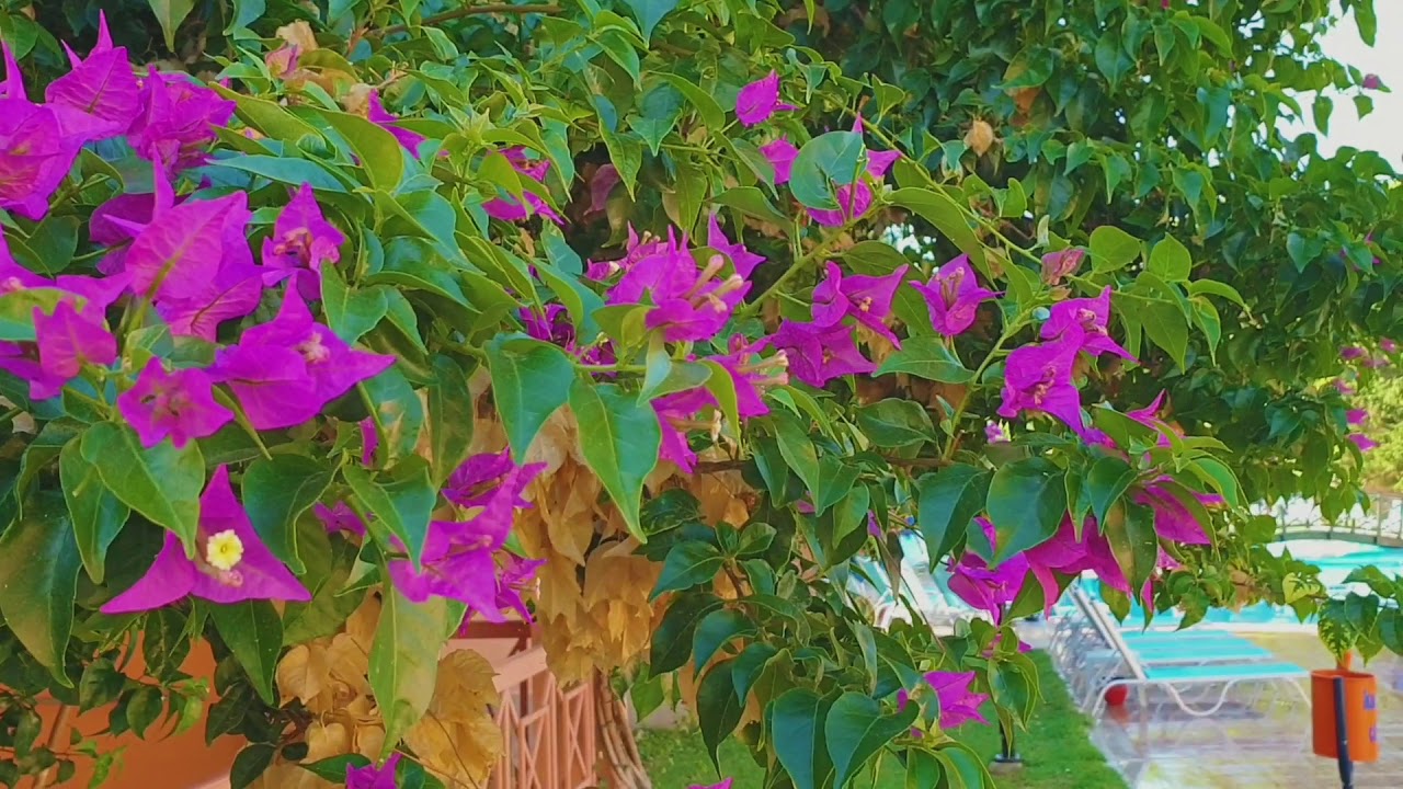 kuştur club holiday village 2