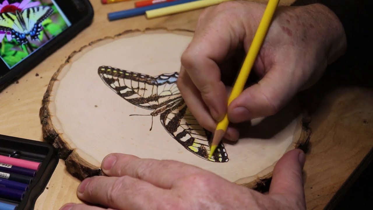 Woodburning a Tiger Swallowtail Butterfly