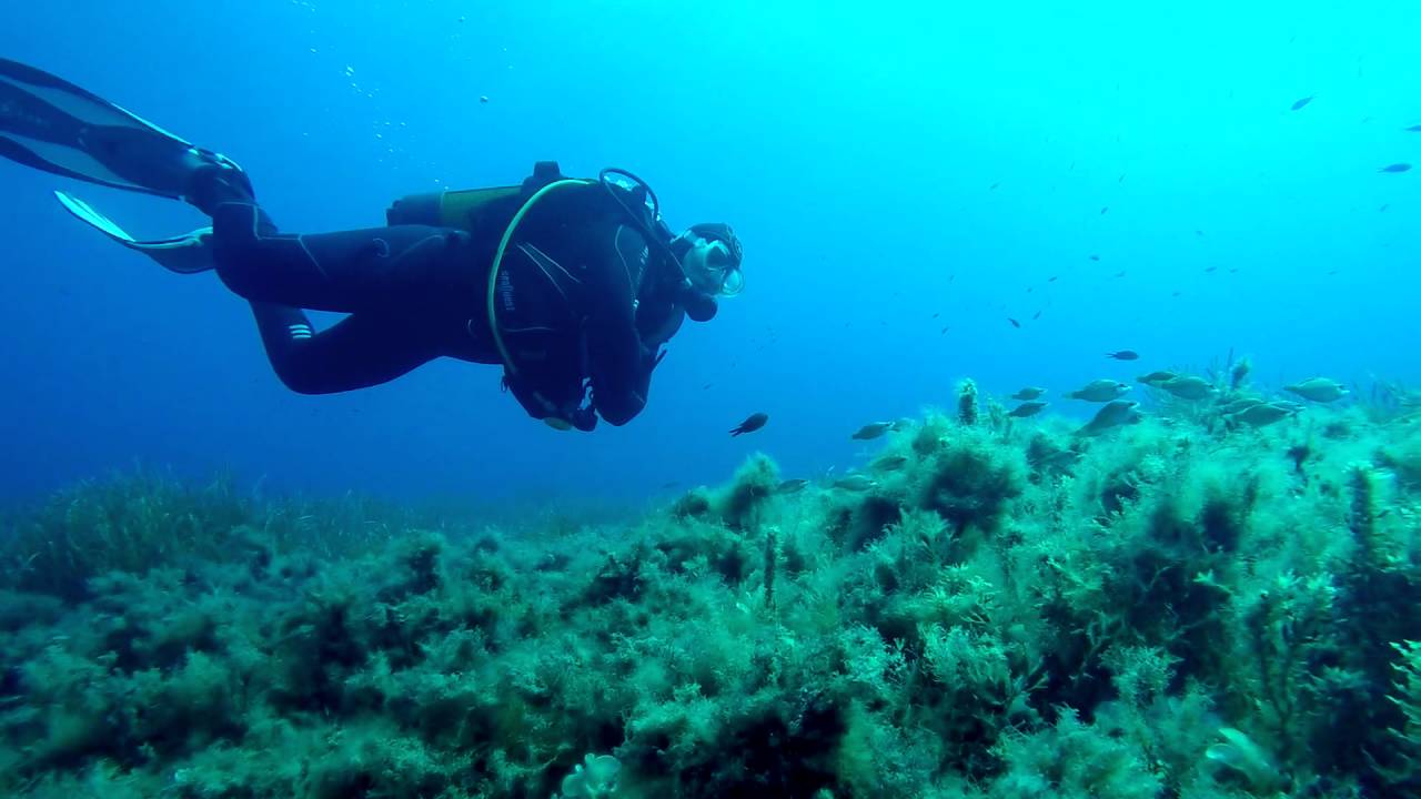 Nardymas su Divemen. Malta, easy dive