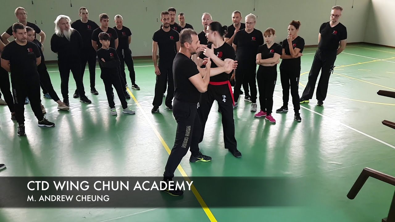 M. Andrew Cheung Seminar 2019