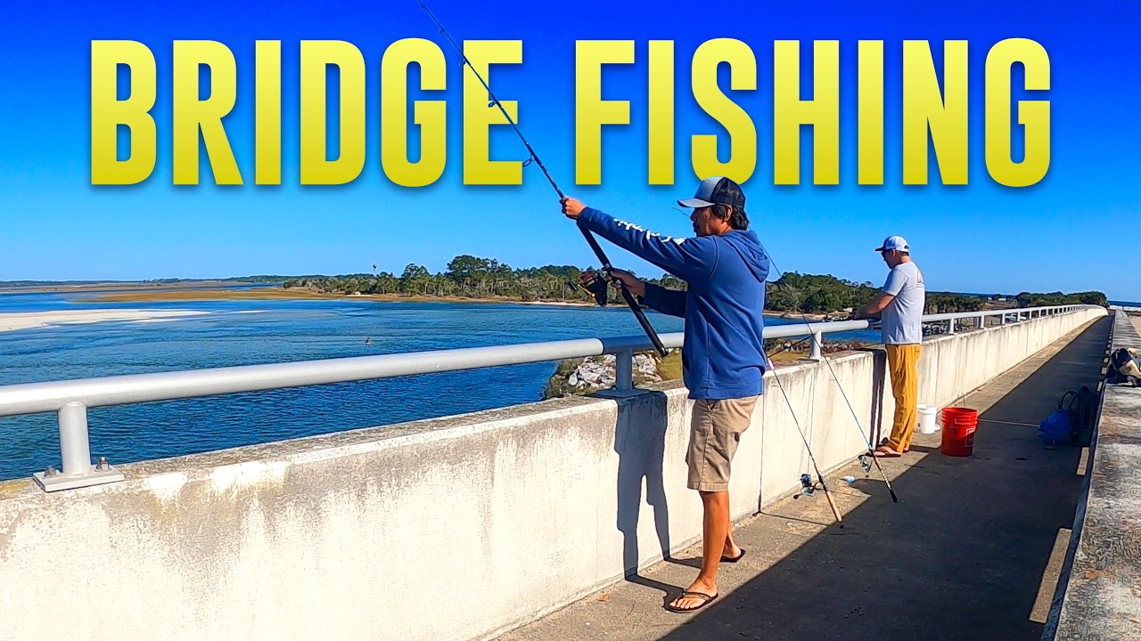 EPISODE 7 - Fishing All Over Jacksonville From Shore - BRIDGES (TARPON!)