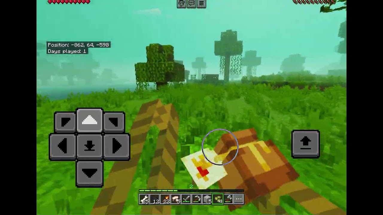 Minecraft day 2