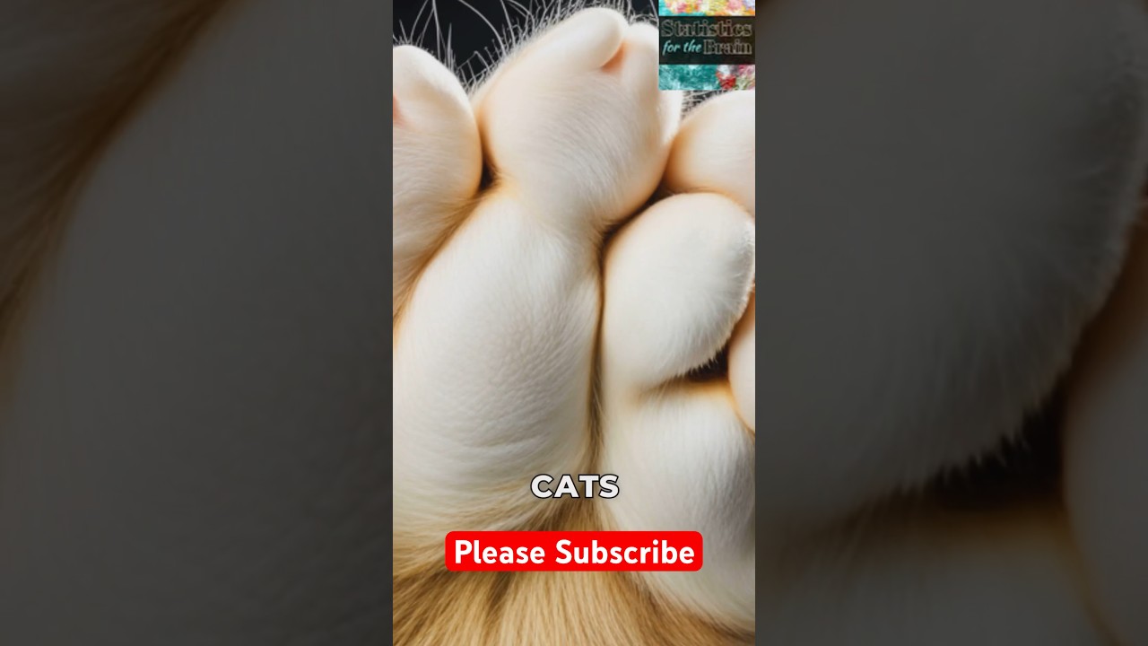 The Uniqueness of Cat’s Paw Structure 