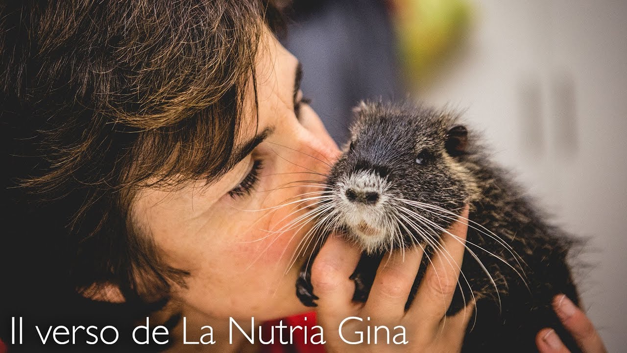 Il verso della nutria!