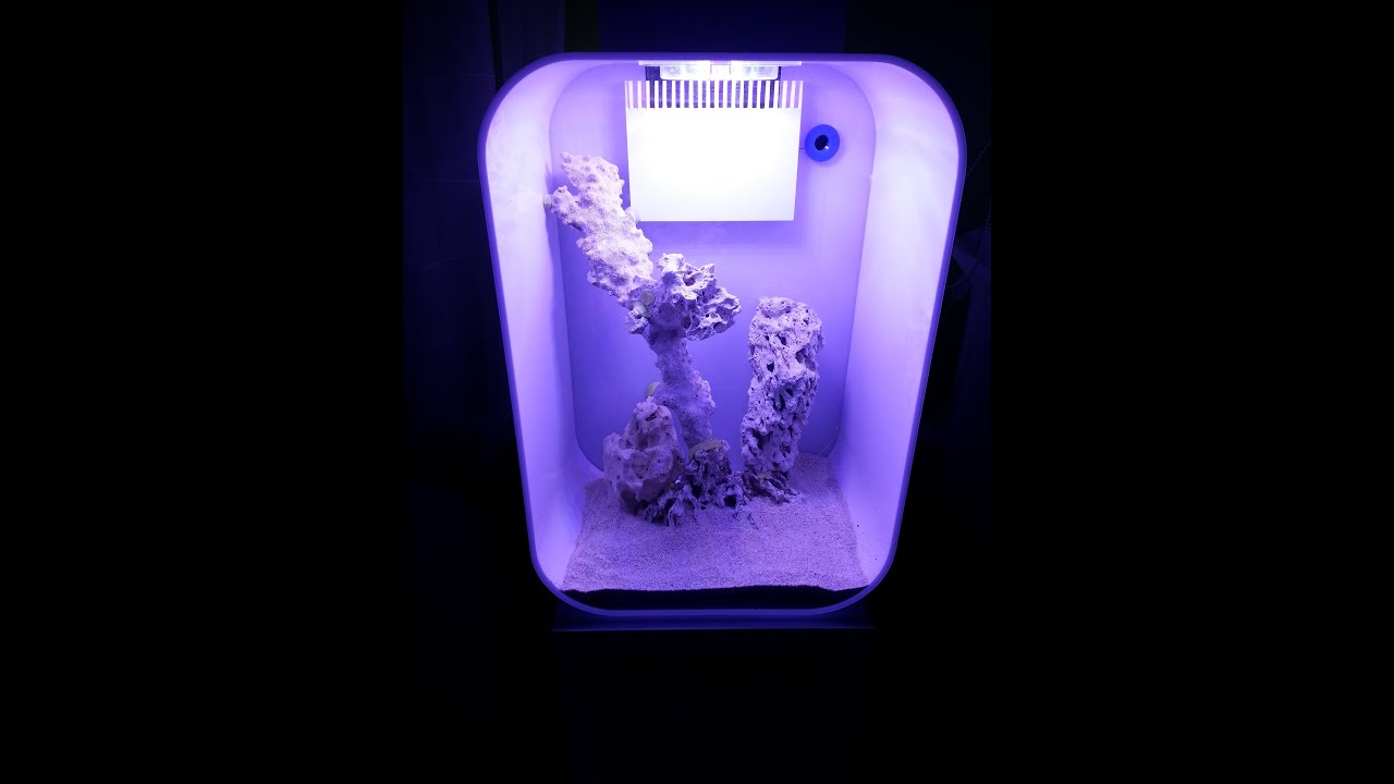 biOrb Life 60L REEF